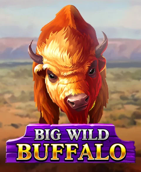 Play Big Wild Buffalo at Space Lilly Casino